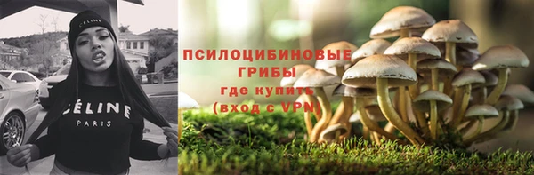 бутират Бугульма