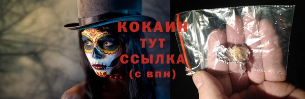 ГАЛЛЮЦИНОГЕННЫЕ ГРИБЫ Заводоуковск