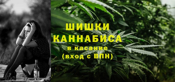 PSILOCYBIN Бронницы