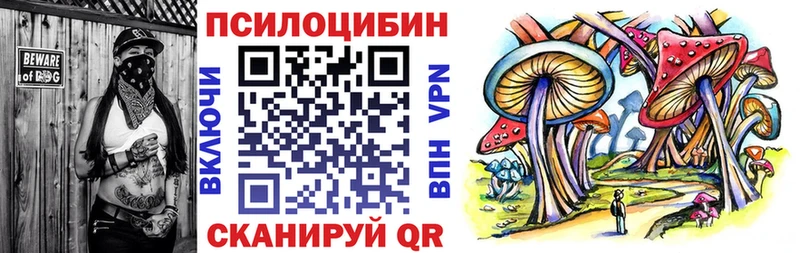 гидра зеркало  Велиж  Галлюциногенные грибы мухоморы 